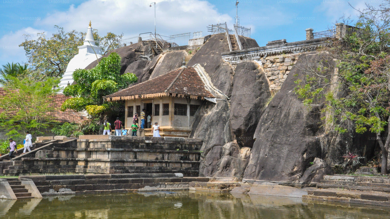 Tour zu buddhistischen Ikonen nach Anuradhapura ab Dambulla