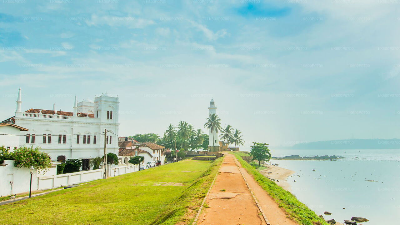 Tour durch die alte niederländische Festung und Flusssafari ab Galle