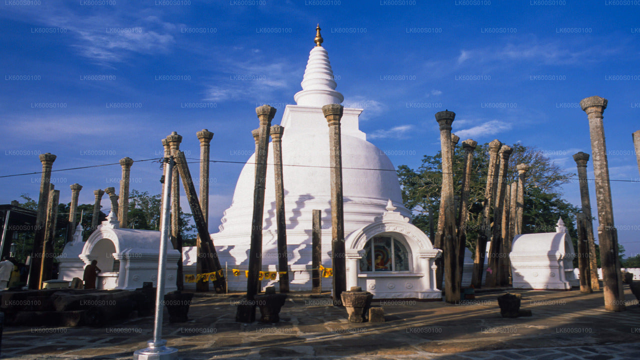 Heilige Stadt Anuradhapura von Habarana aus