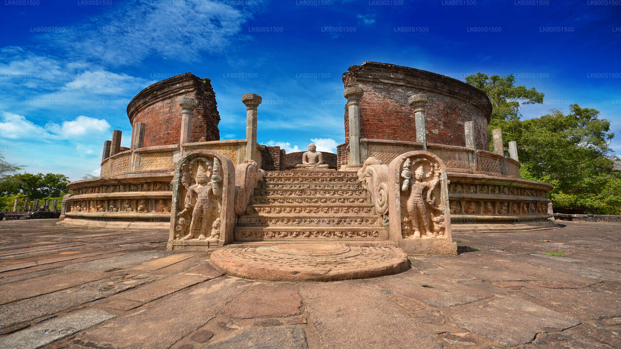 Antikes Königreich Polonnaruwa und Safari mit wilden Elefanten ab Habarana