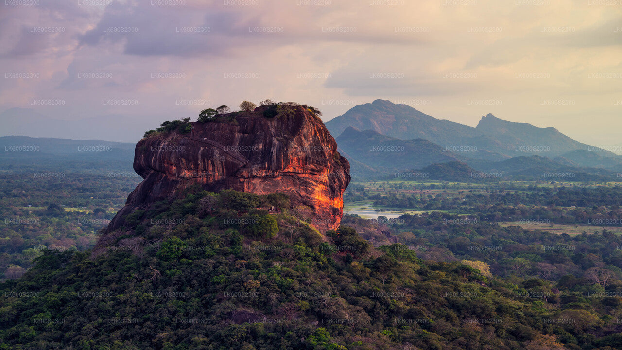 Sigiriya-Felsen und Landschaft von Habarana