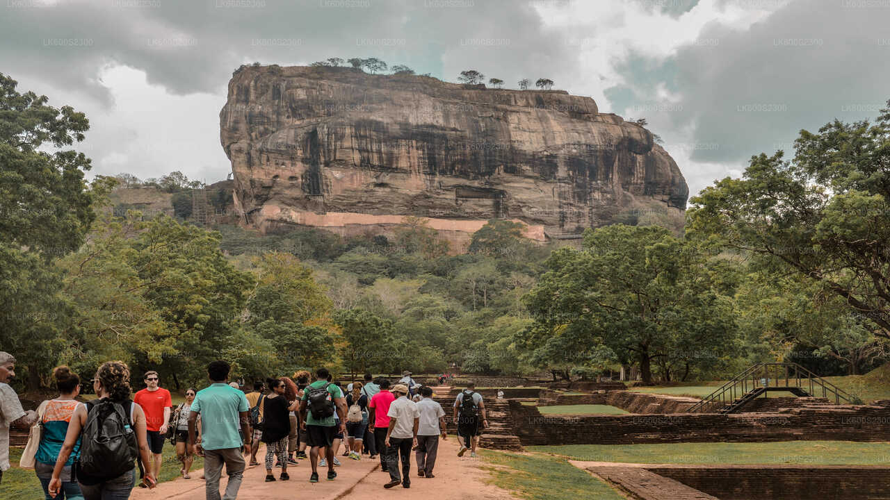 Sigiriya-Felsen und Landschaft von Habarana