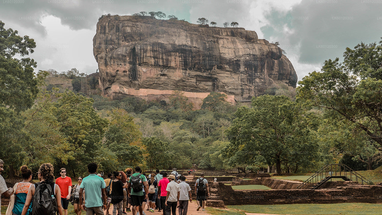 Sigiriya-Felsen- und Wildelefantensafari ab Polonnaruwa