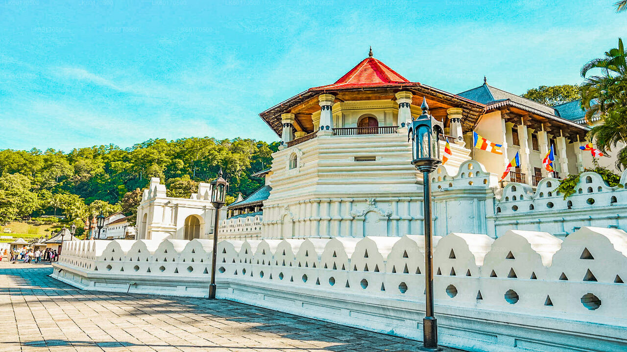 Tempellauftour ab Kandy