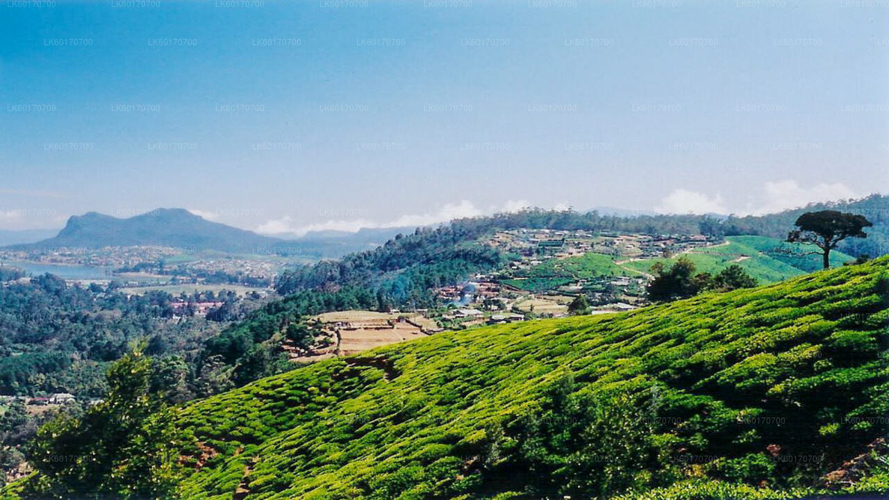 Central Highlands Peak Point von Kandy aus