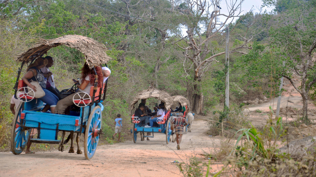 Kandy Village Walk mit einem Einheimischen