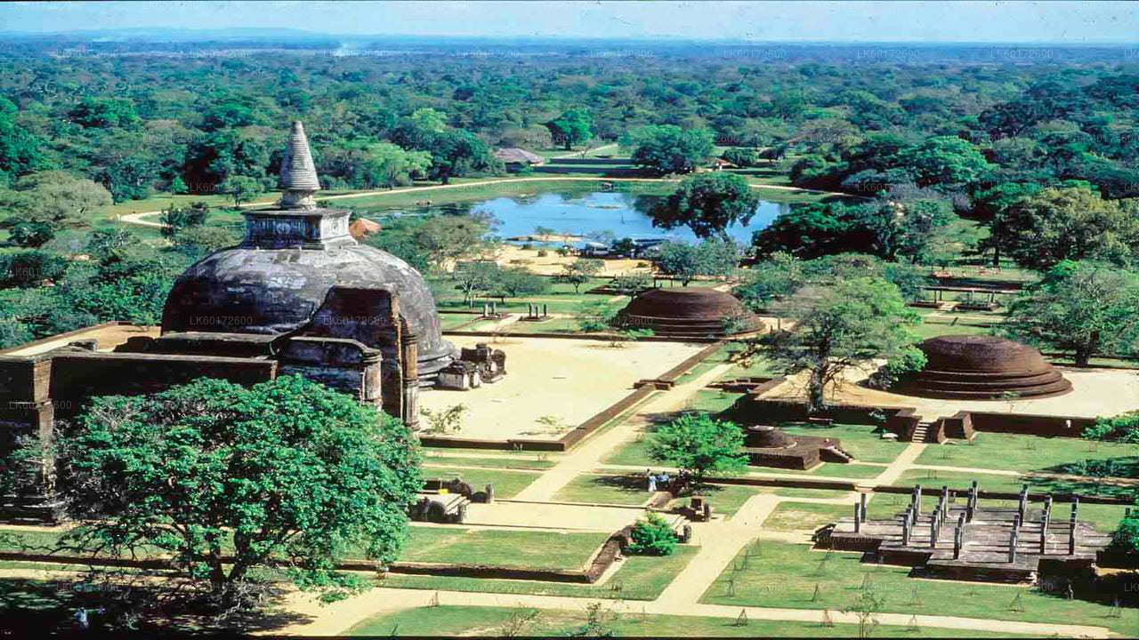 Antikes Königreich Polonnaruwa und wilde Elefantensafari ab Kandy