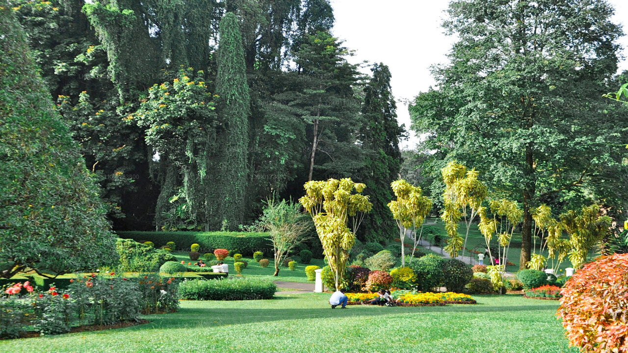 Royal Botanic Garden und Village Life Tour ab Kandy