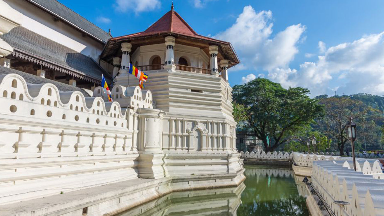 Ab Colombo: Tour nach Pinnawala und Kandy