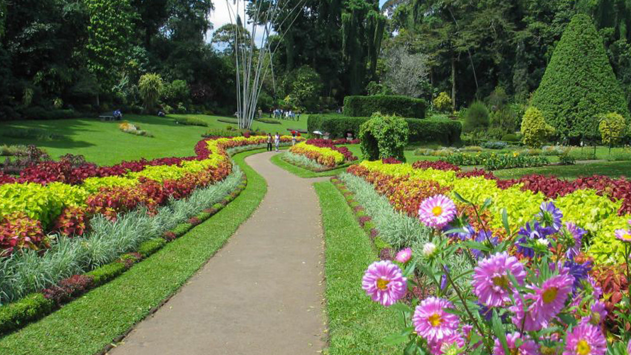 Ab Colombo: Tour nach Pinnawala und Kandy