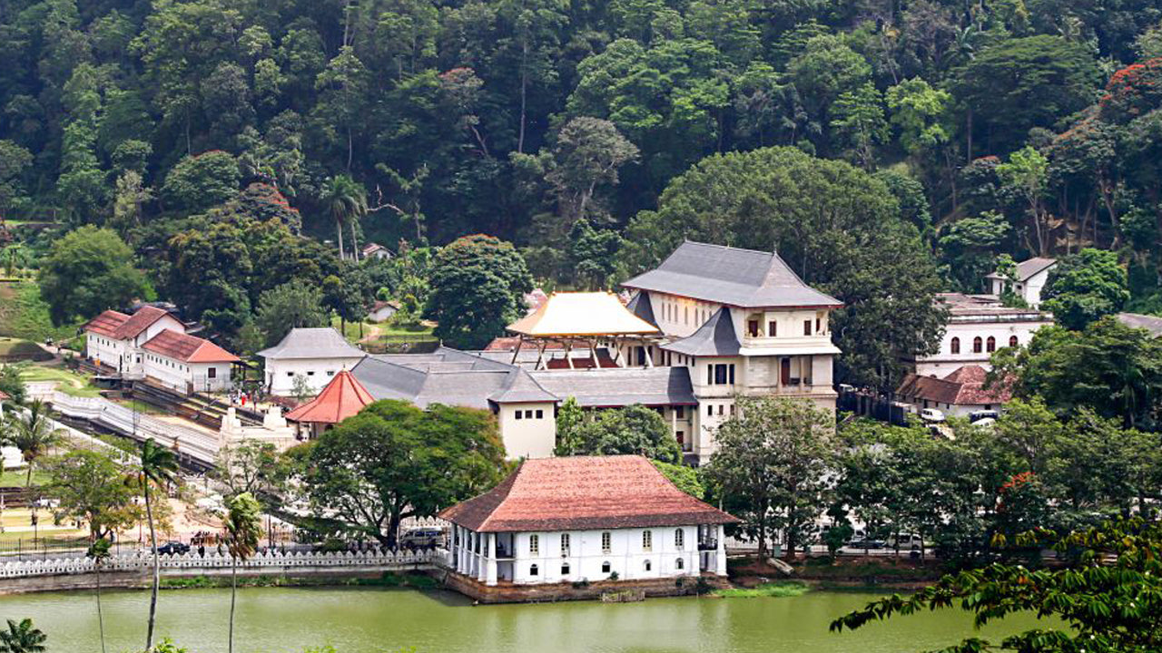 Ab Colombo: Tour nach Pinnawala und Kandy