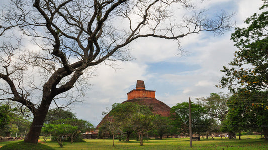 Heilige Stadt Anuradhapura von Kalpitiya aus