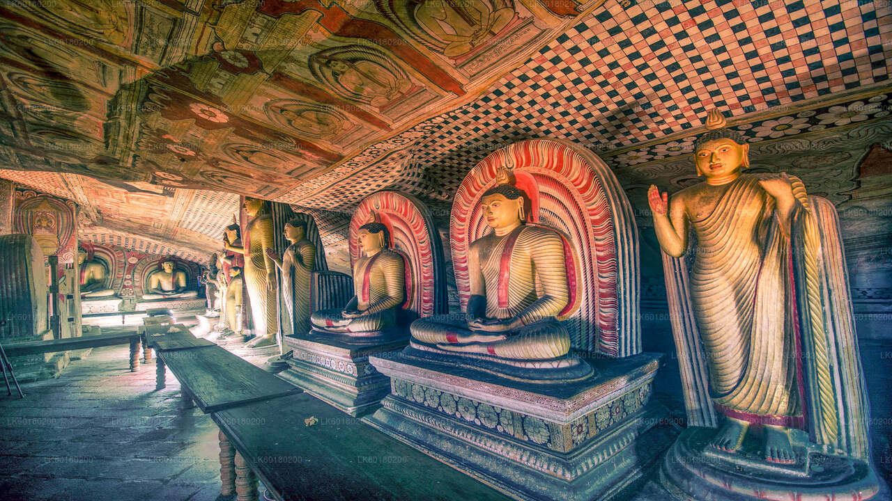 Sigiriya und Dambulla aus Kalpitiya