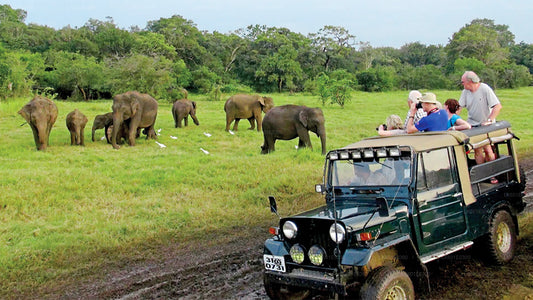 Safari im Bundala-Nationalpark ab Koggala