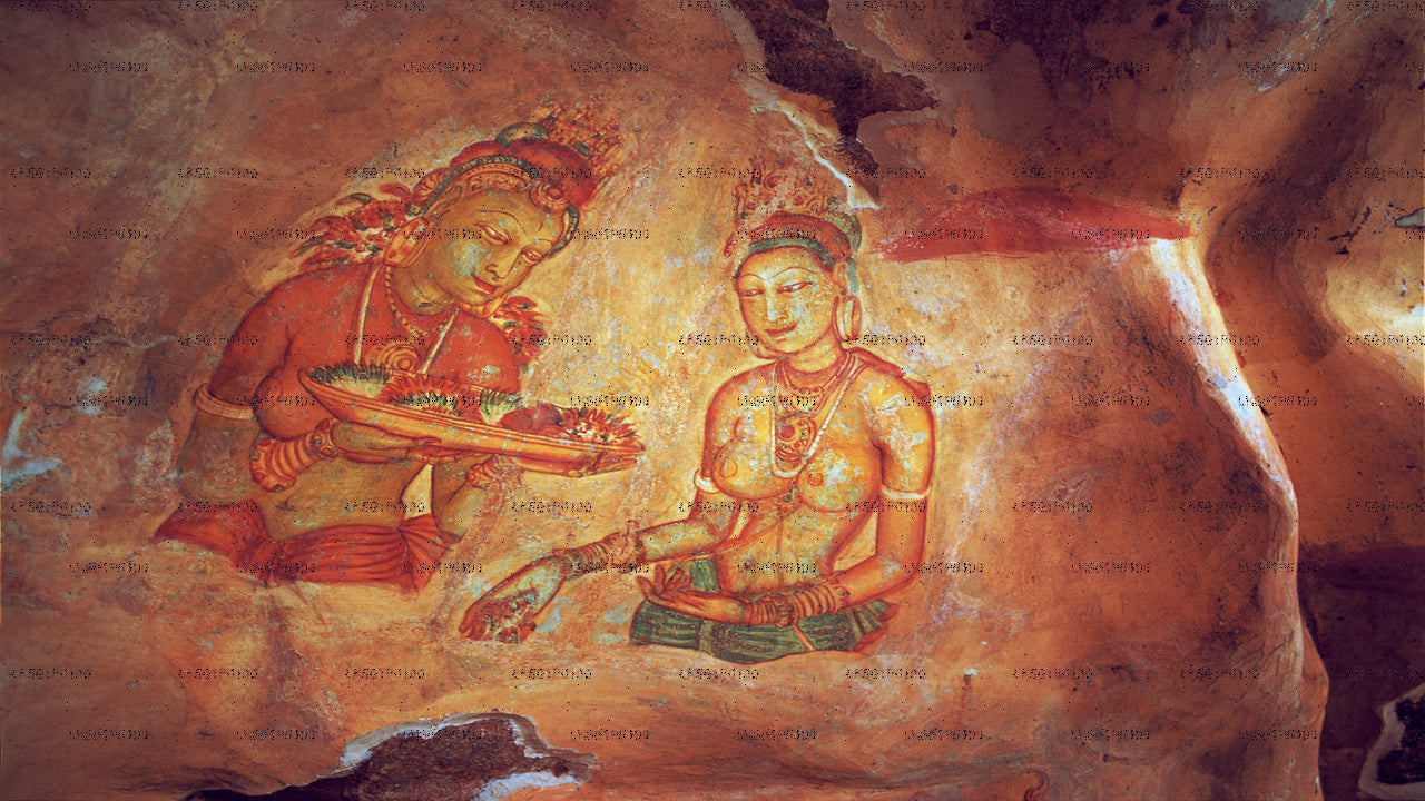 Sigiriya und Dambulla aus Negombo