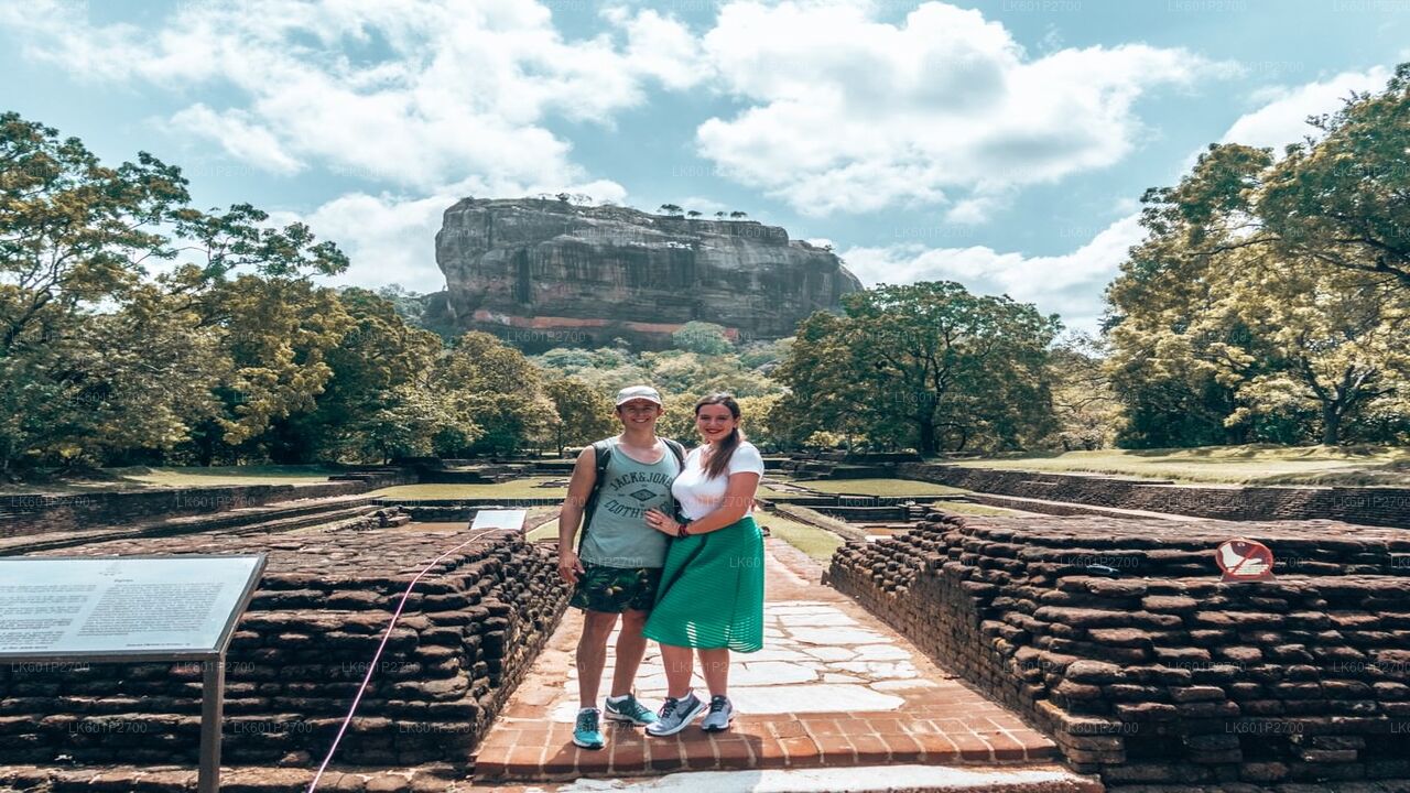 Sigiriya-Felsen- und Elefantensafari ab Negombo