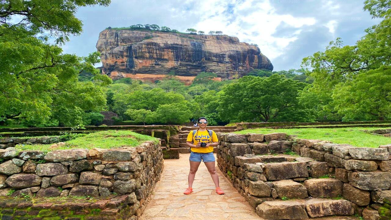 Sigiriya-Felsen- und Elefantensafari ab Negombo