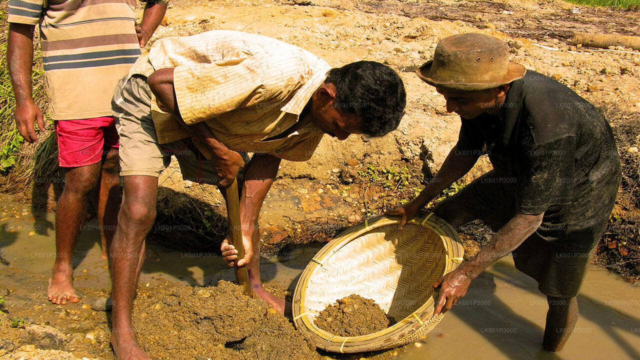 Erkunden Sie die Edelsteinminen in Ratnapura von Negombo aus