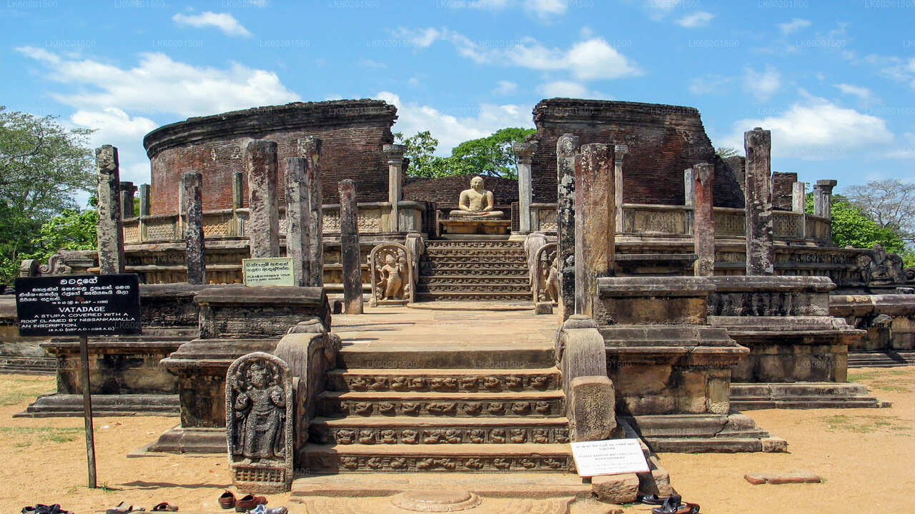 Antikes Königreich Polonnaruwa und Wildelefantensafari ab Sigiriya