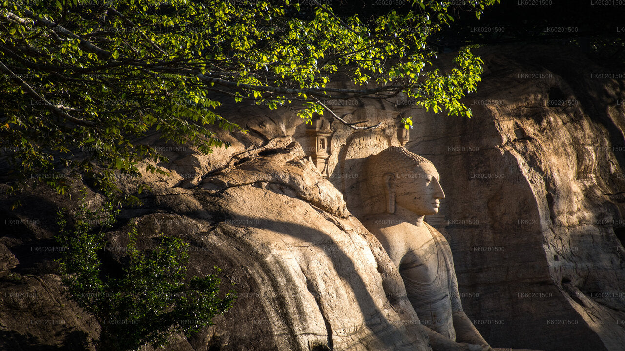 Antikes Königreich Polonnaruwa und Wildelefantensafari ab Sigiriya
