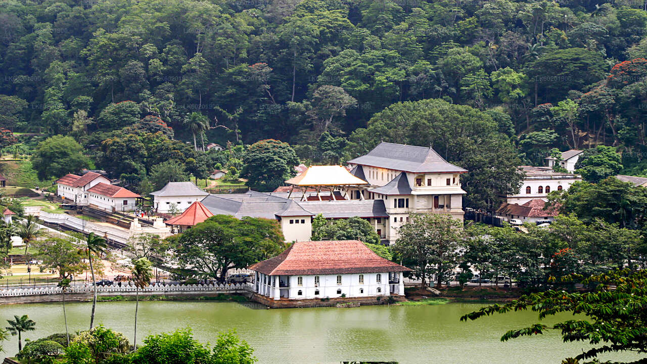 Kandy-Stadtrundfahrt ab Sigiriya
