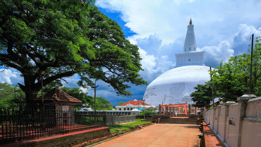Heilige Stadt Anuradhapura von Sigiriya aus