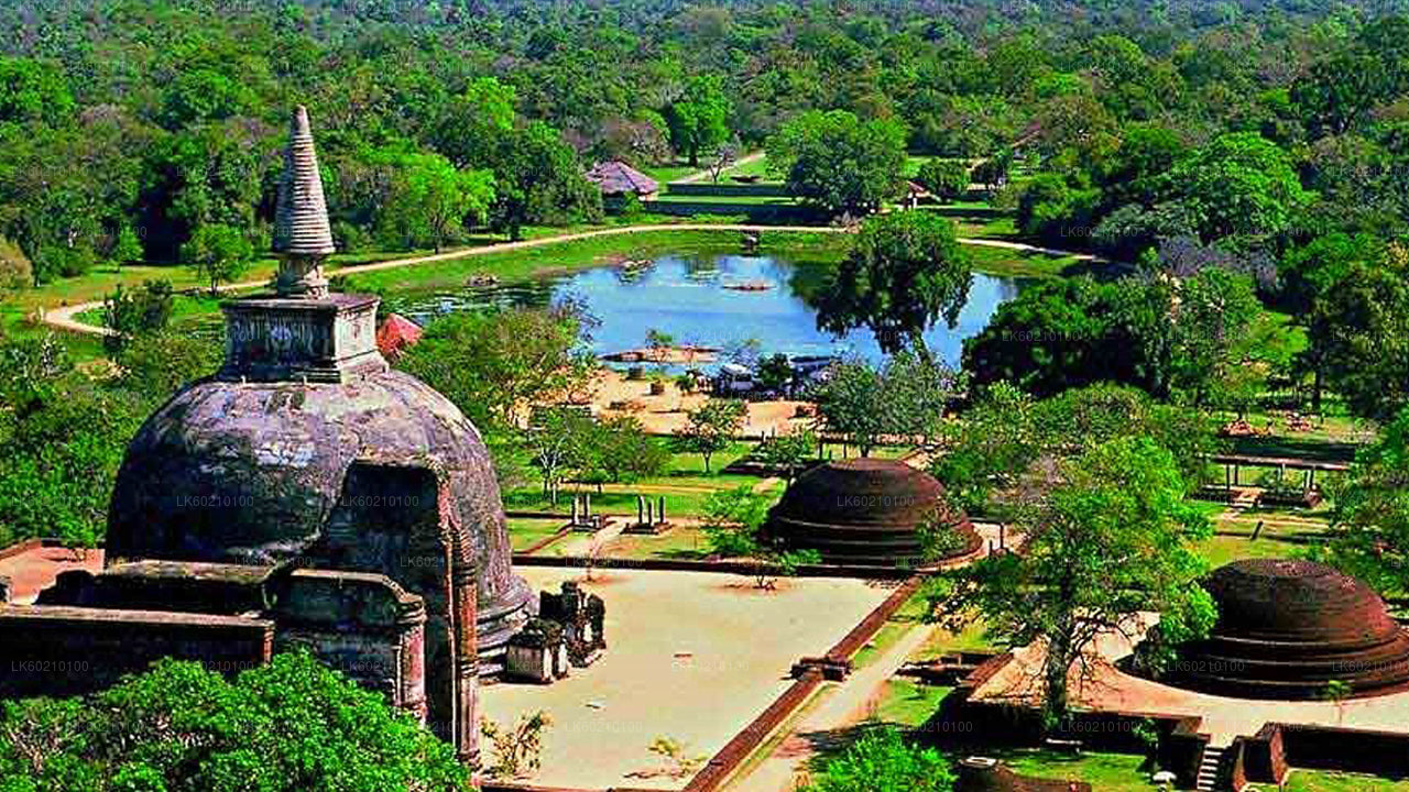 Heilige Stadt Anuradhapura von Sigiriya aus