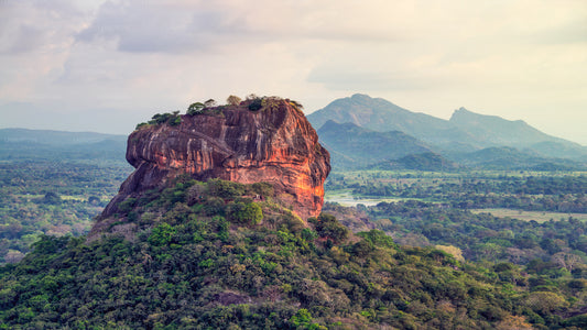 Sigiriya-Felsen- und Wildelefantensafari ab Pasikuda