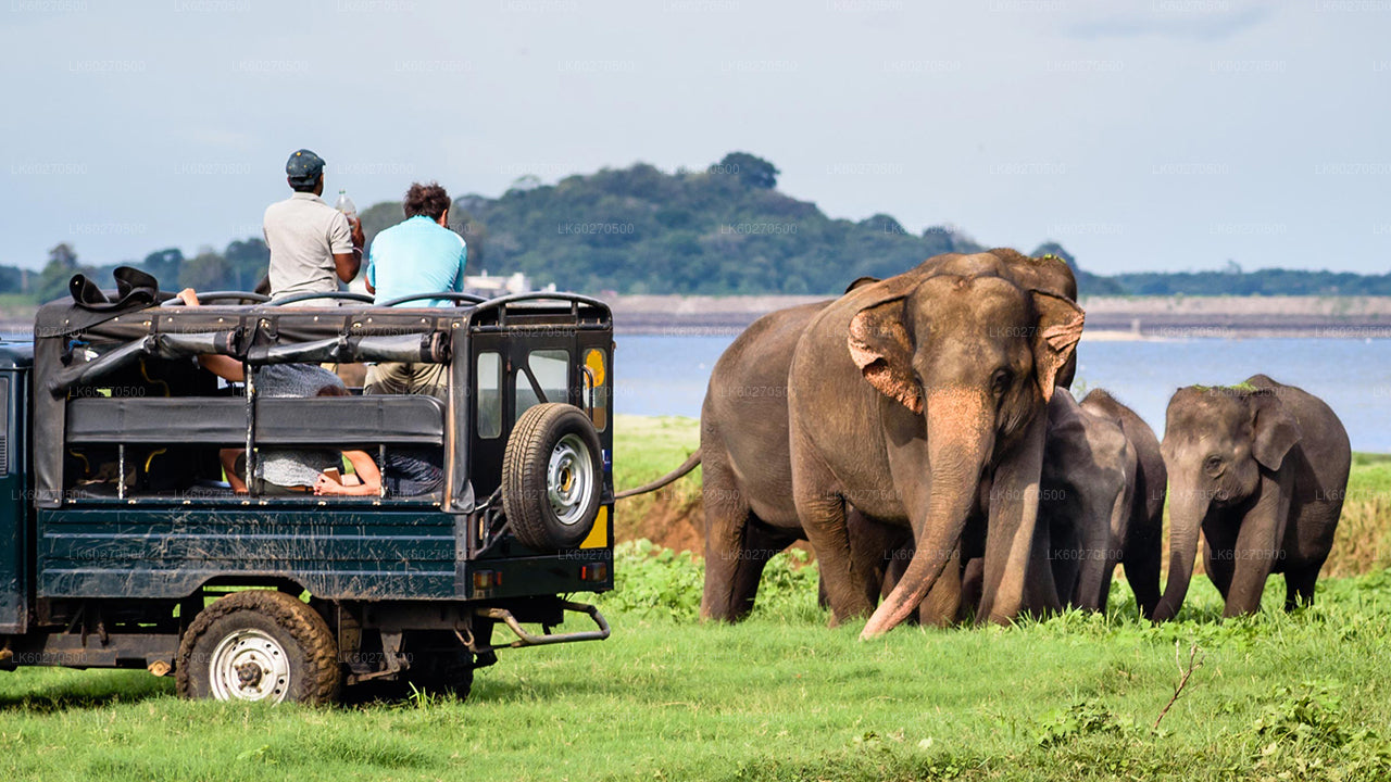 Yala-Nationalpark-Safari ab Dikwella