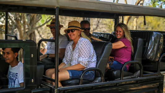 Safari im Yala-Nationalpark ab Weligama