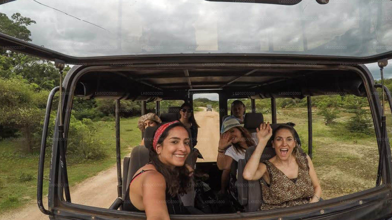 Safari im Yala-Nationalpark ab Weligama