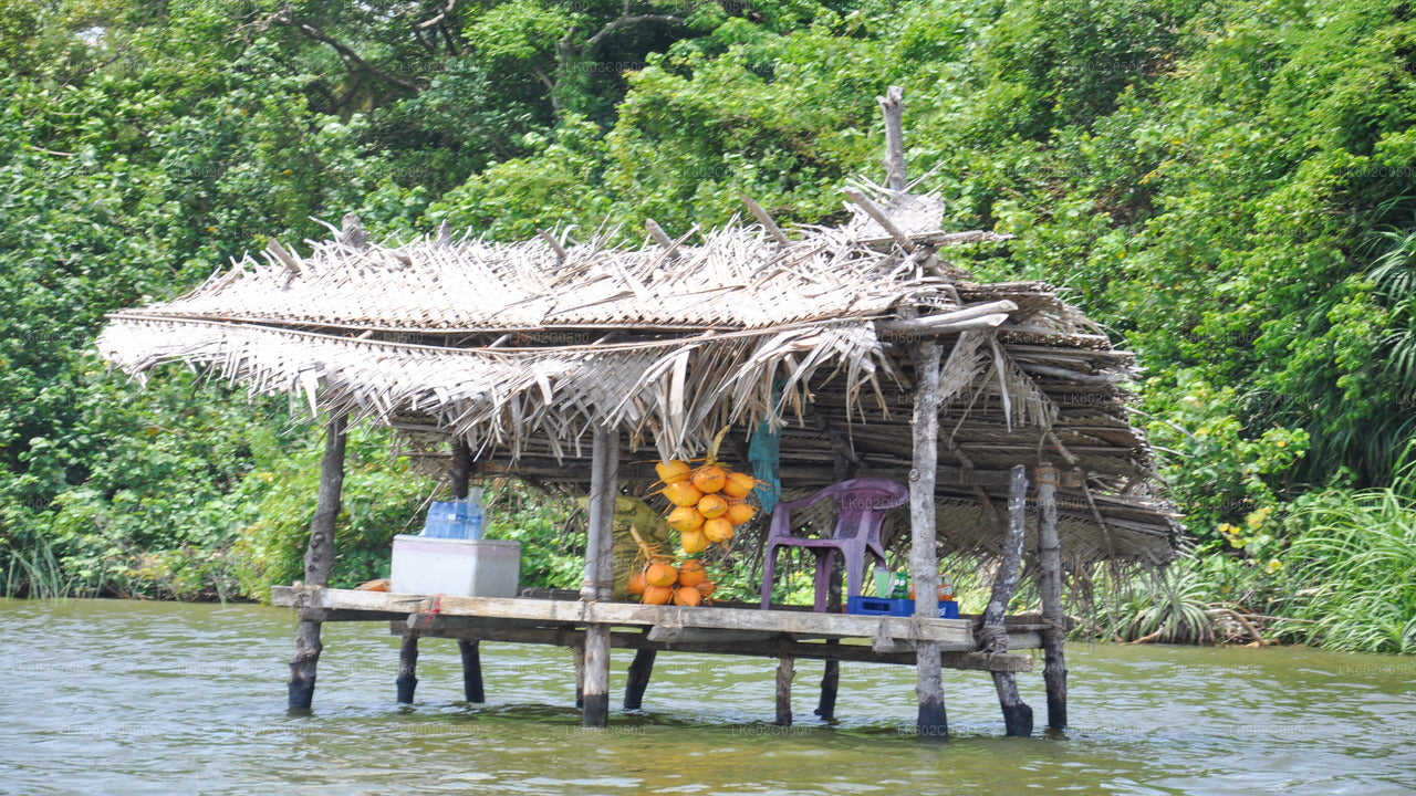 Bentota-Stadtrundfahrt ab Weligama