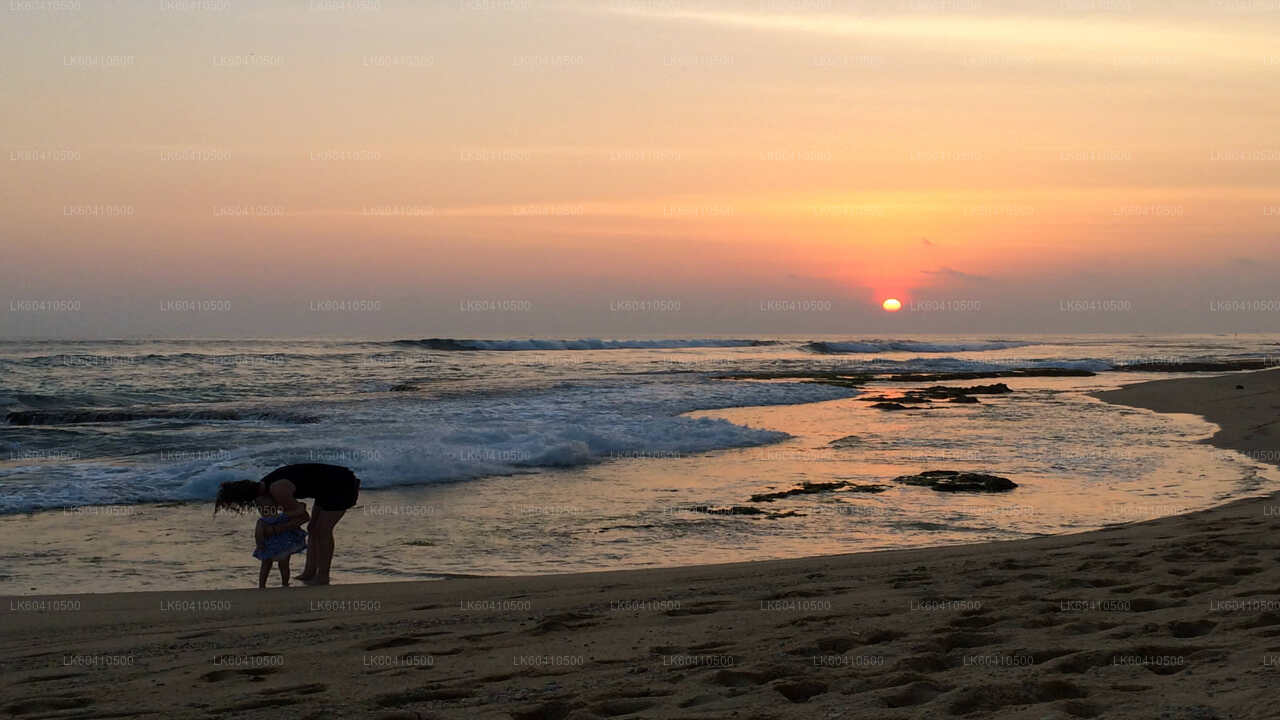 Highlights der Südküste von Unawatuna