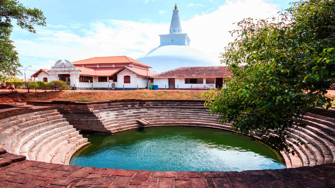 Heilige Stadt Anuradhapura vom Mount Lavinia aus
