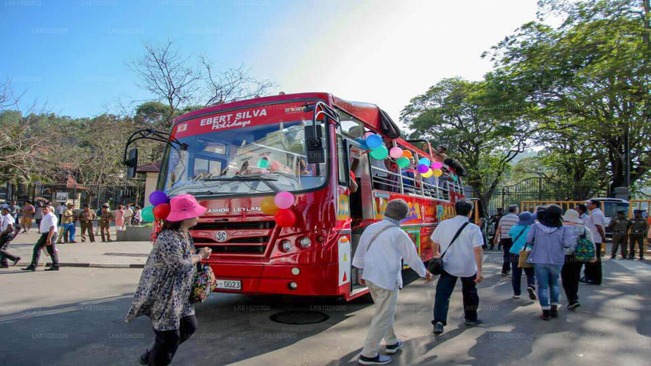 Stadtrundfahrt durch Kandy im offenen Bus