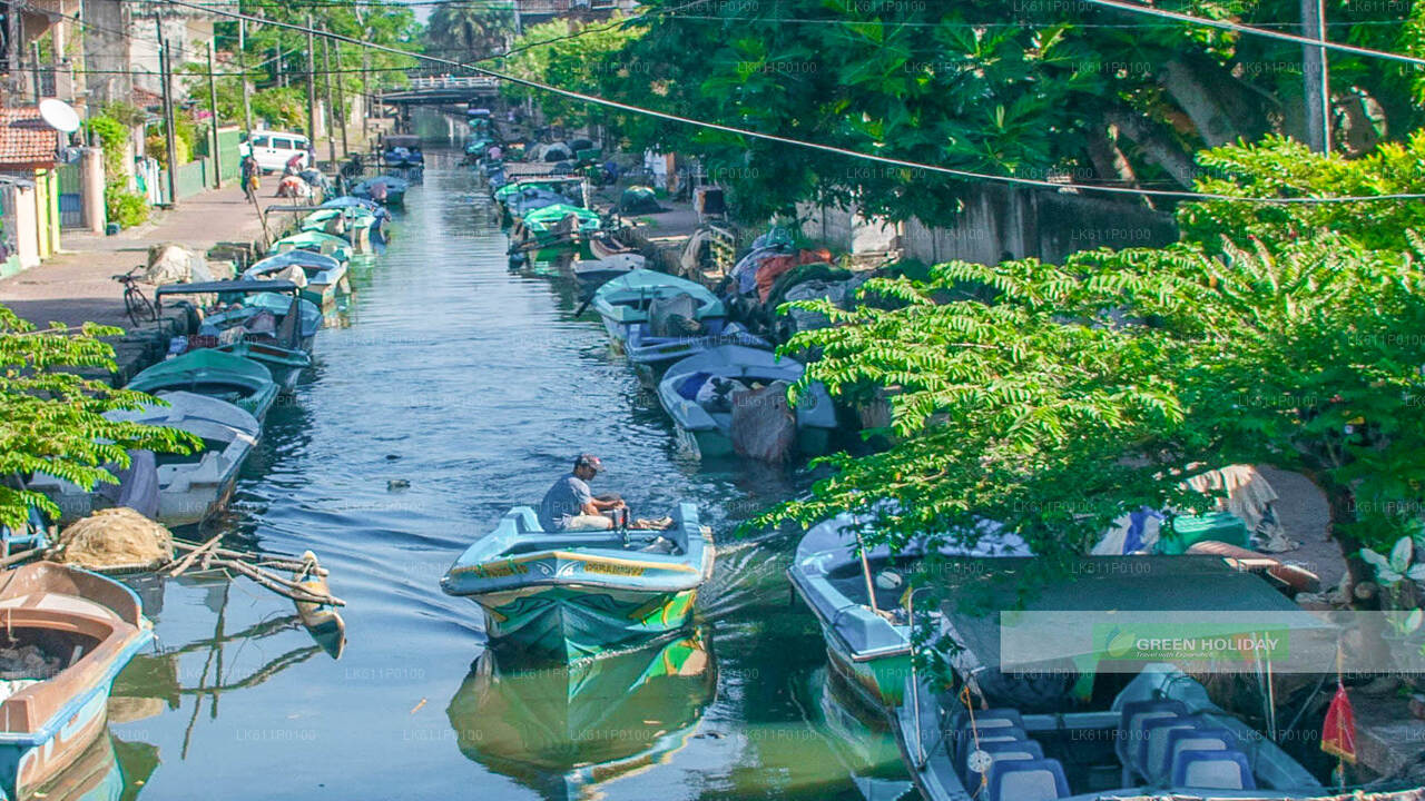 Stadtrundfahrt durch Negombo