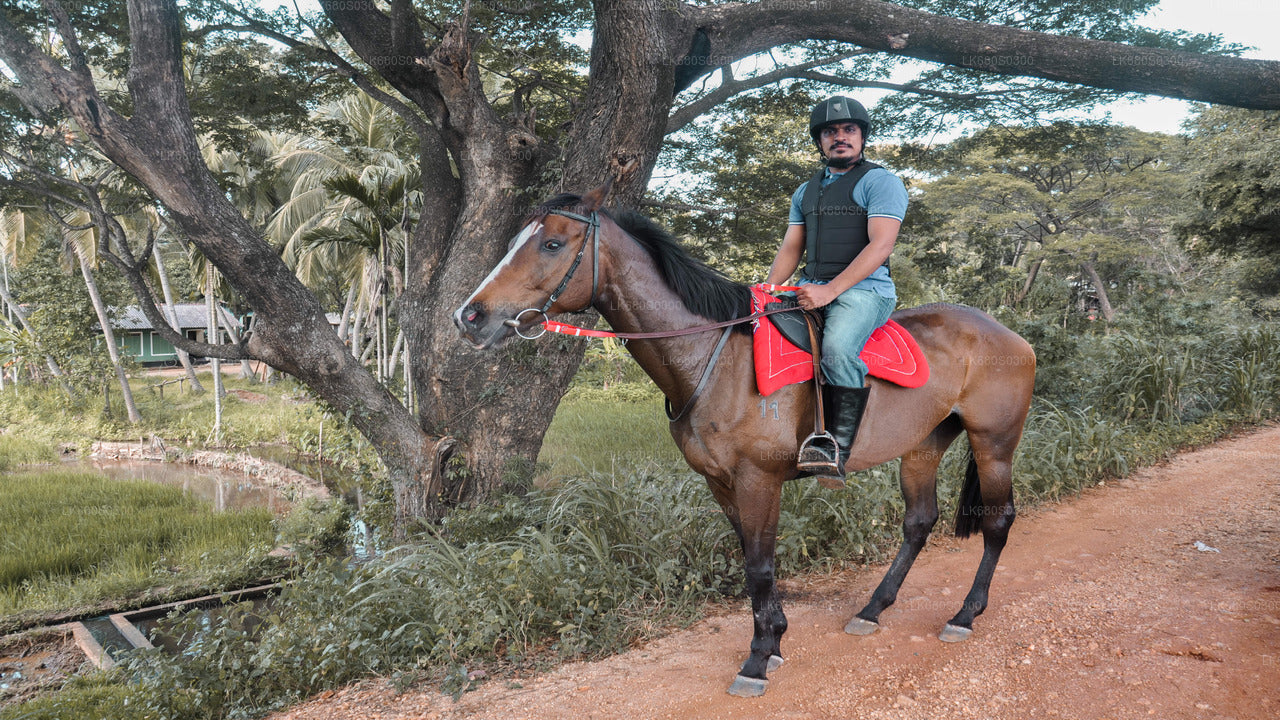 Ausritt zu Pferd durch ein Dorf von Habarana aus