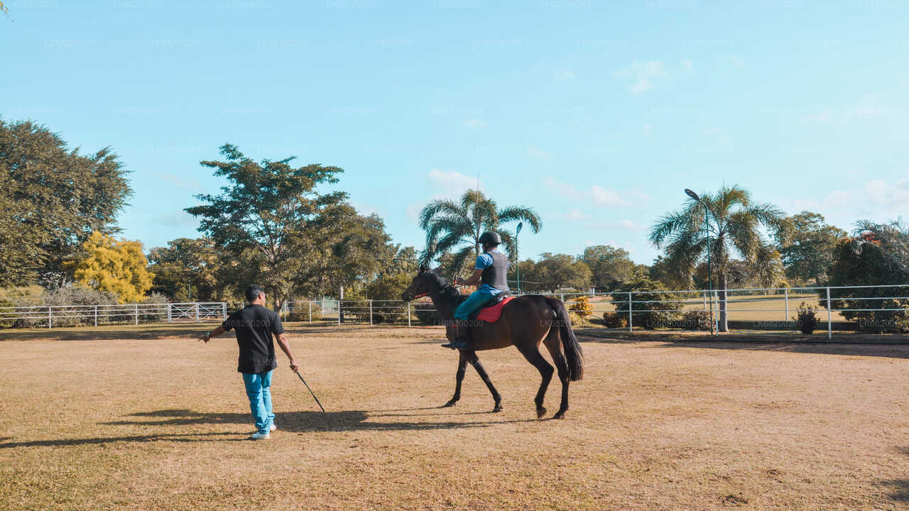 Reiten für Profis aus Sigiriya