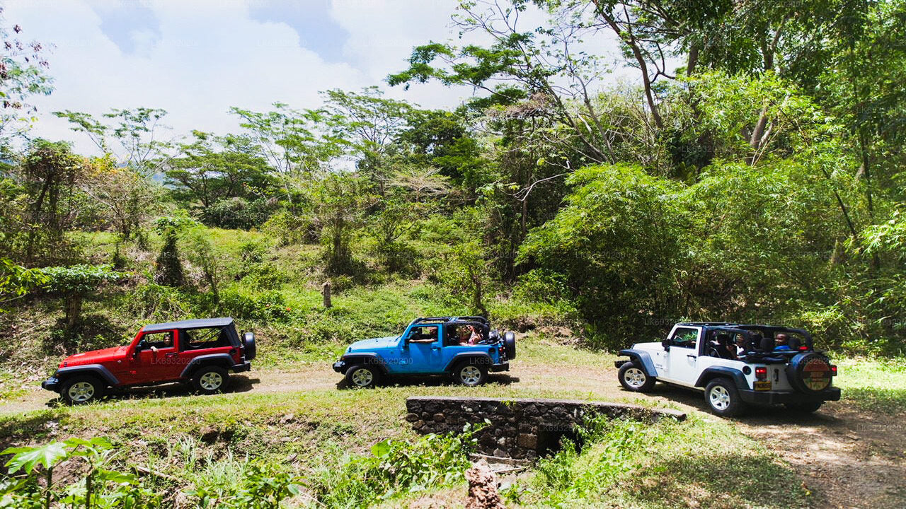 Dorfrundfahrt im klassischen Jeep ab Habarana