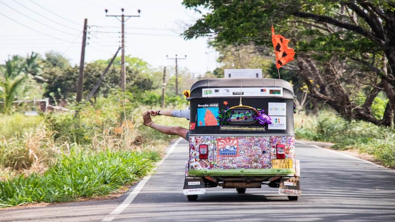 Tuk-Tuk-Safari durch die Stadt Negombo