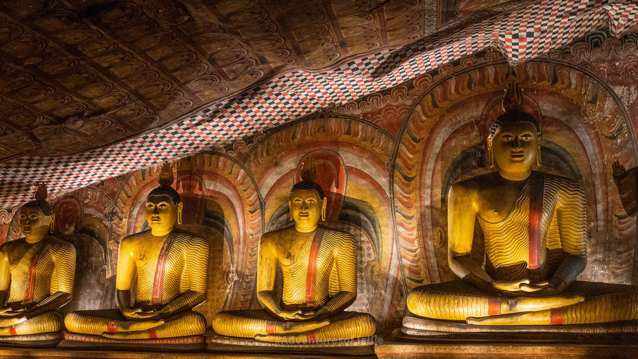 Eintrittskarten für den Dambulla-Höhlentempel