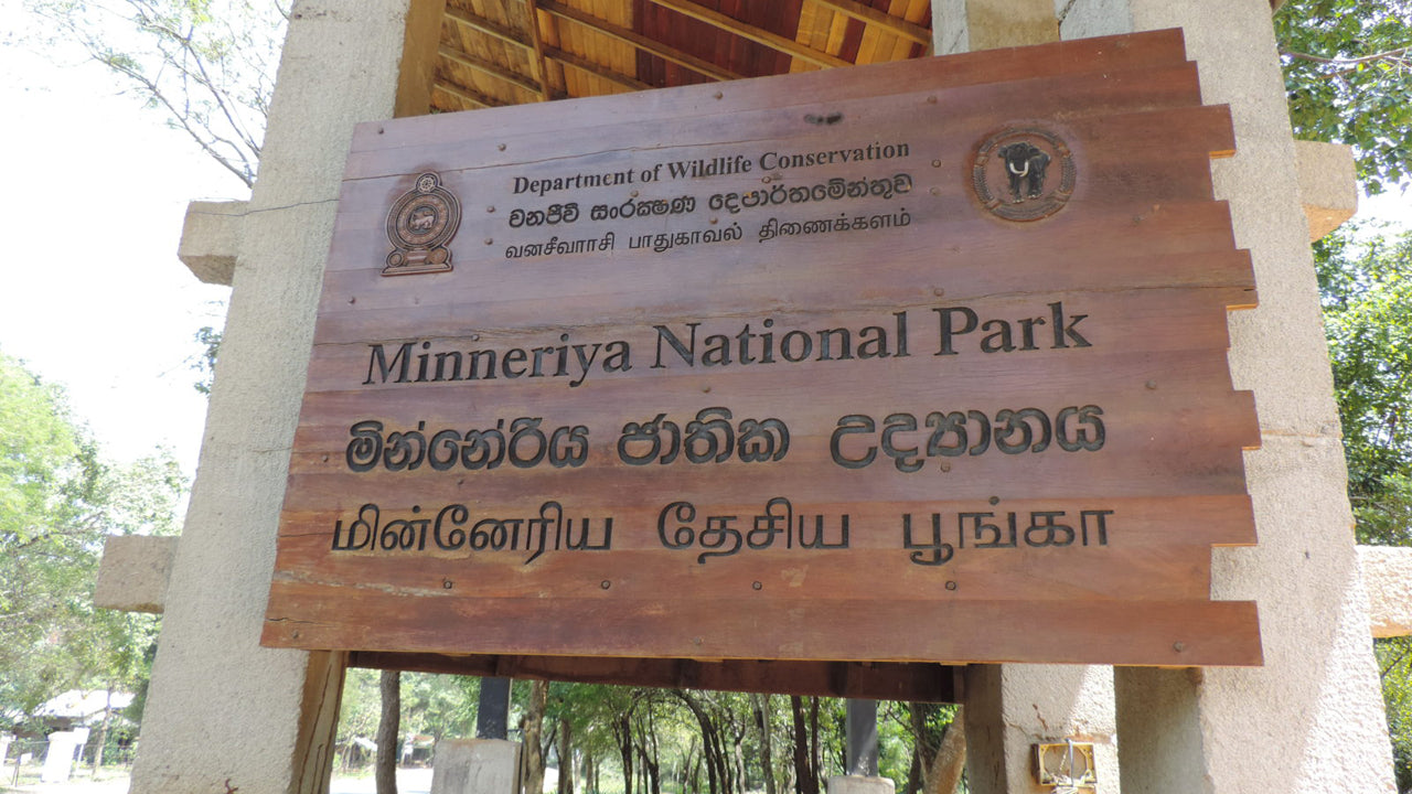 Eintrittskarte für den Minneriya-Nationalpark