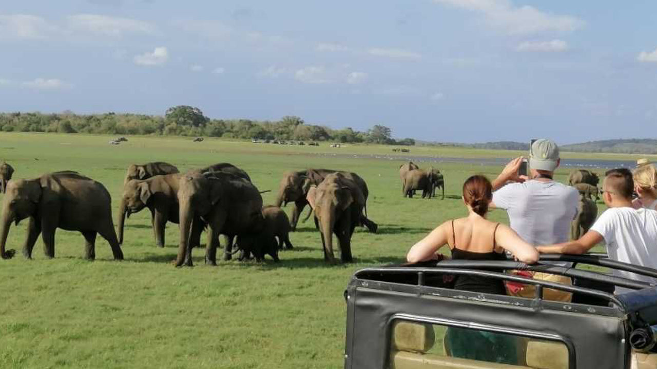 Eintrittskarte für den Minneriya-Nationalpark