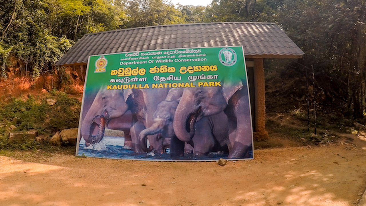 Eintrittskarten für den Kaudulla-Nationalpark