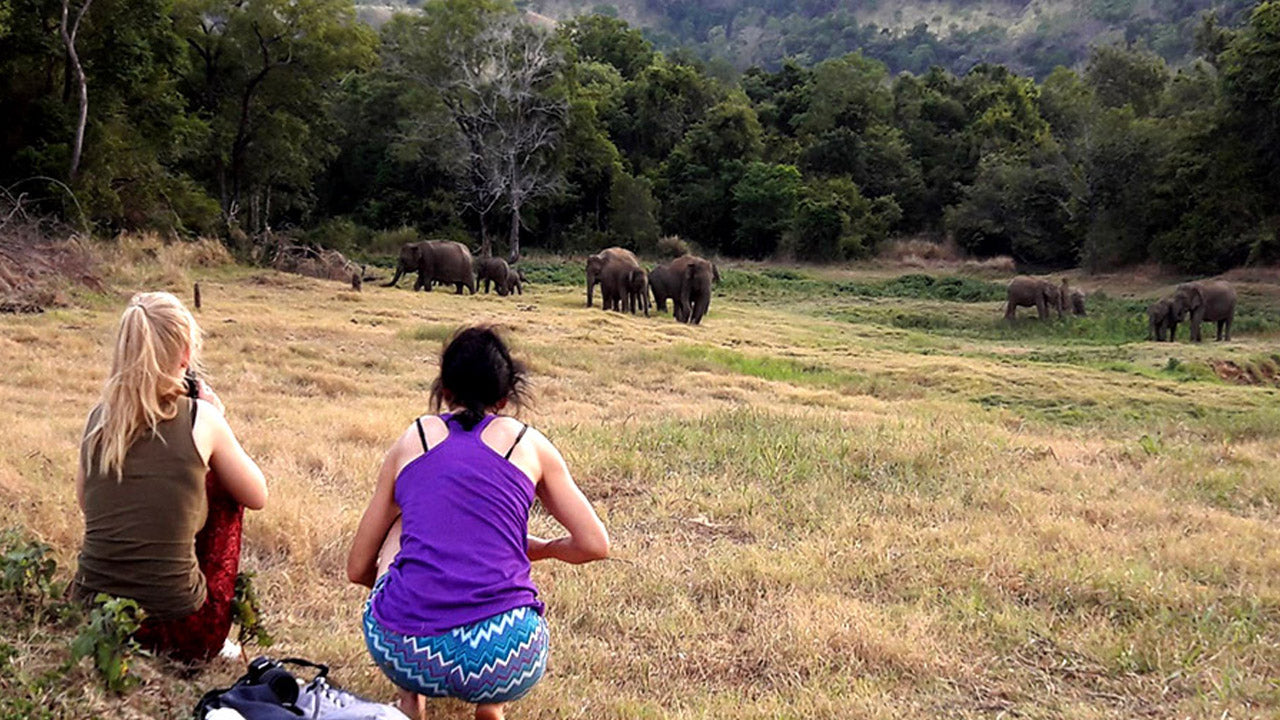 Eintrittskarten für den Wasgamuwa-Nationalpark