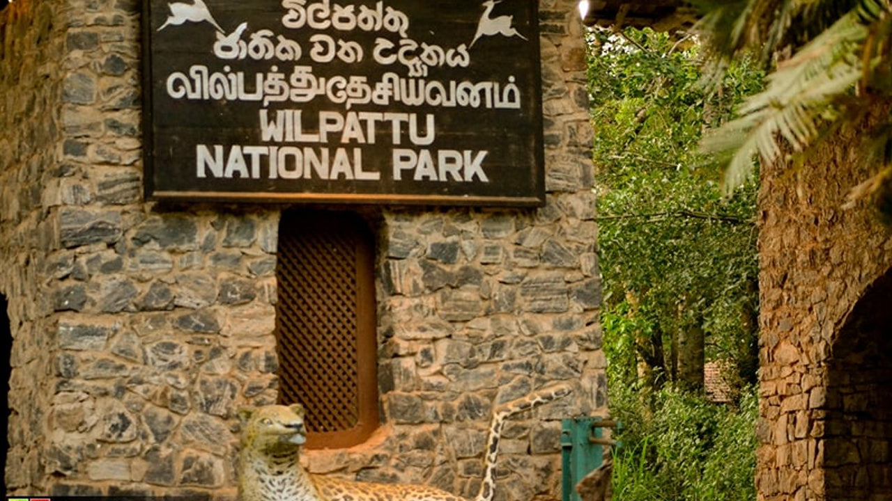 Eintrittskarten für den Wilpattu-Nationalpark