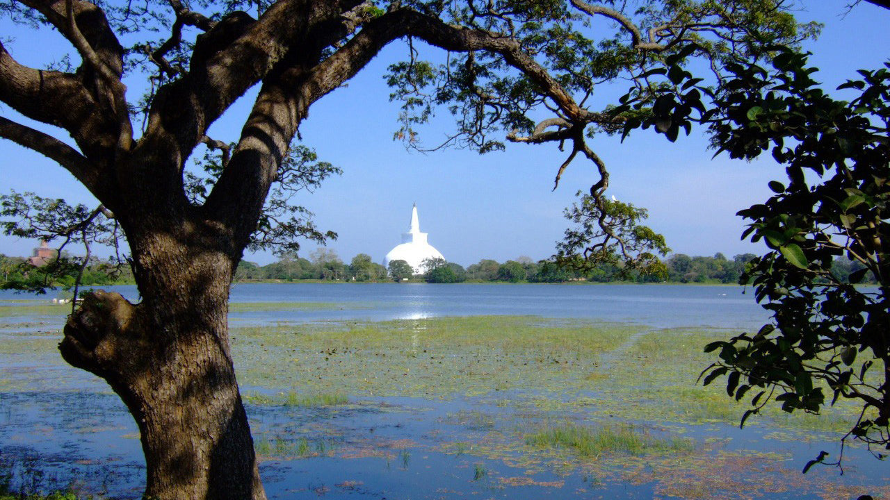 Eintrittskarte für das Heilige Gebiet von Anuradhapura