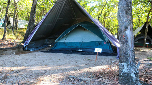 Camping im Yala-Nationalpark