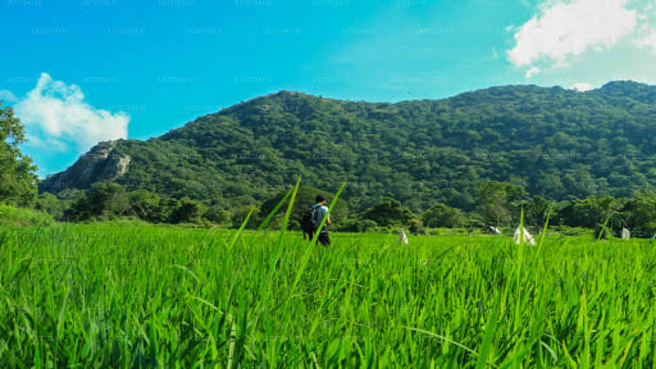 Campingplatz in Kurunegala