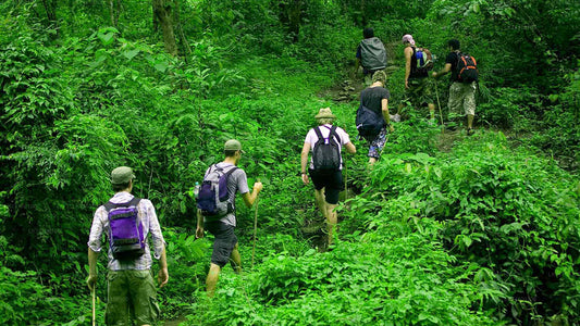 Regenwald-Trekking von Kitulgala